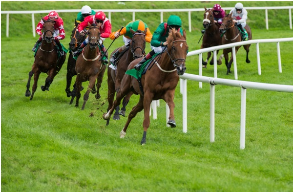 An early look at the Cheltenham Champion Hurdle